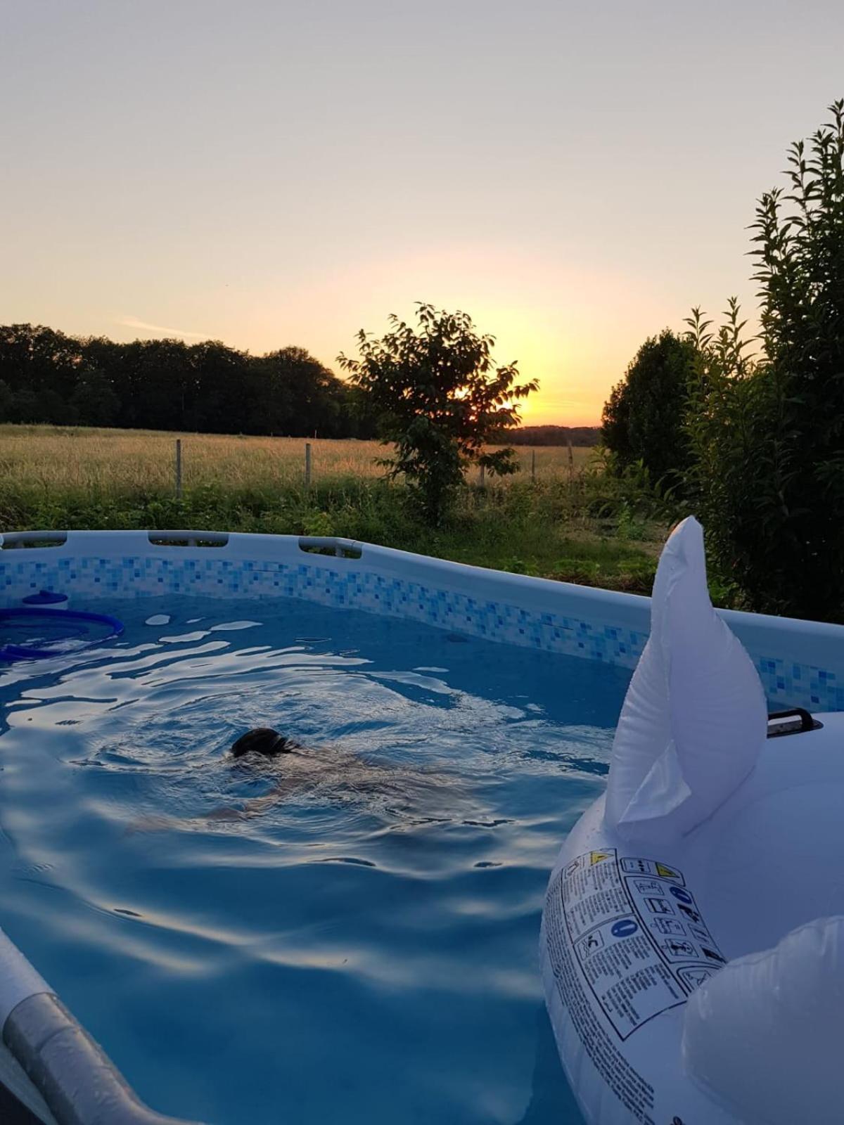 Gite 4 Pers, Jacuzzi, Piscine, Proche Futuroscope, Calme Et Nature A La Roche Posay La Roche-Posay Exterior photo