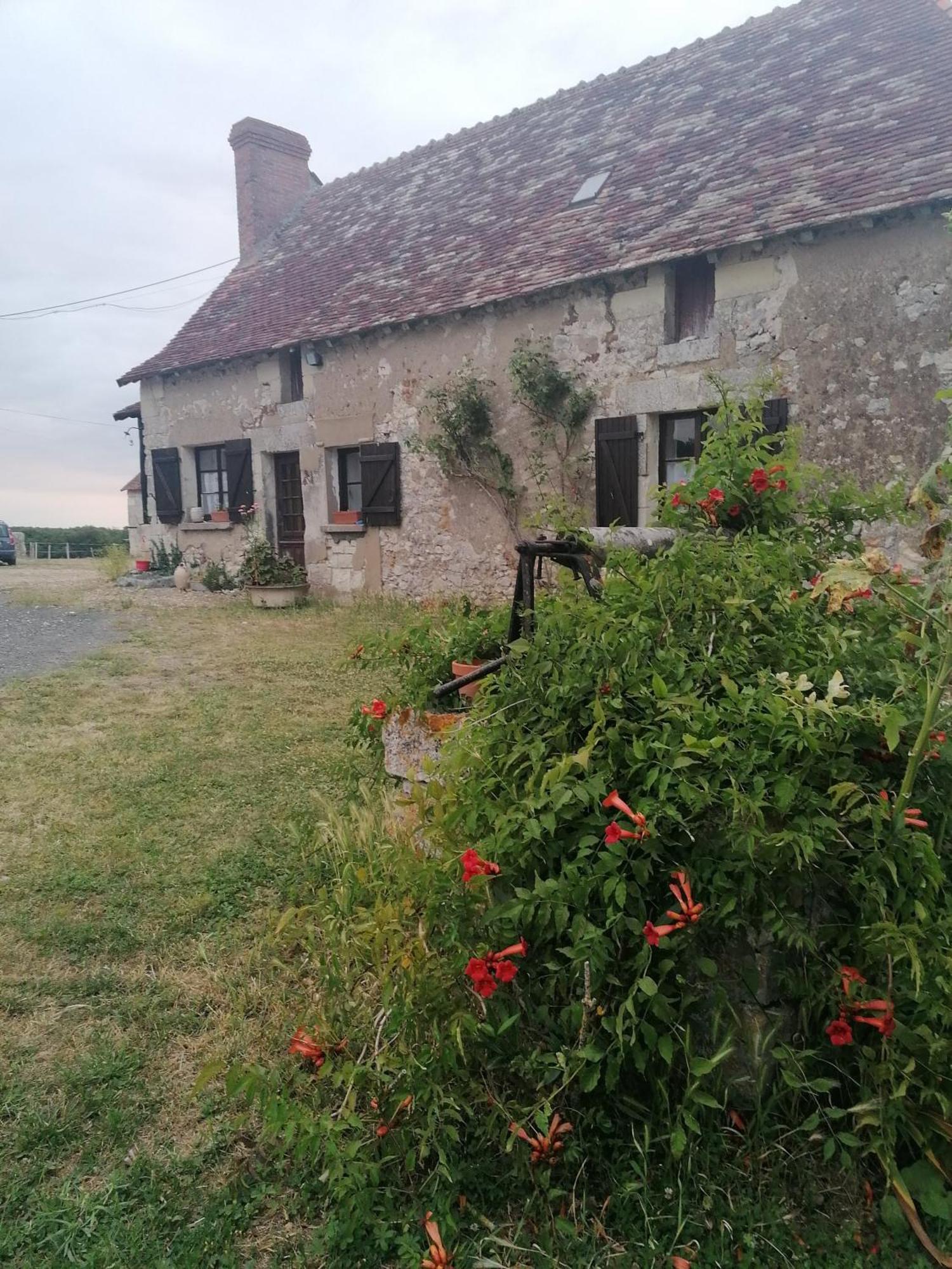 Gite 4 Pers, Jacuzzi, Piscine, Proche Futuroscope, Calme Et Nature A La Roche Posay La Roche-Posay Exterior photo