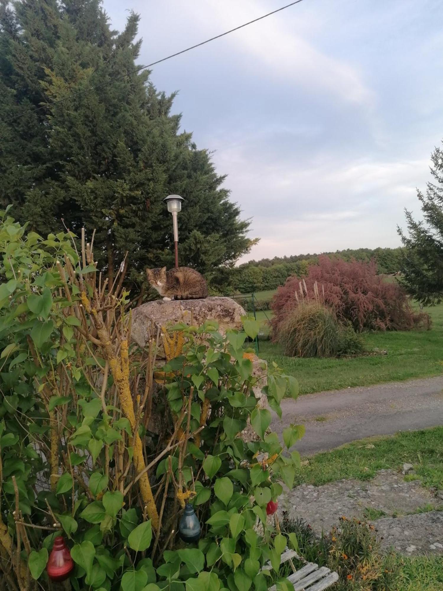 Gite 4 Pers, Jacuzzi, Piscine, Proche Futuroscope, Calme Et Nature A La Roche Posay La Roche-Posay Exterior photo